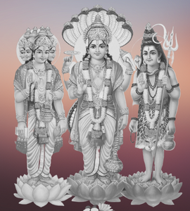 ram mandir ayodhya temple aarti